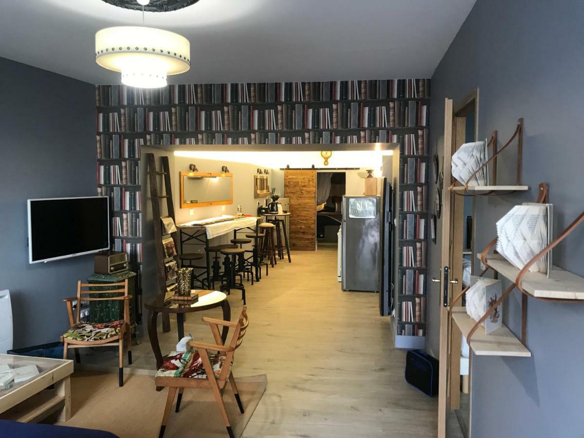 Le Bouquiniste, Centre Historique, Fibre, Ess, Rez-De-Chaussee, Bedinshop Romans-sur-Isere Exterior photo